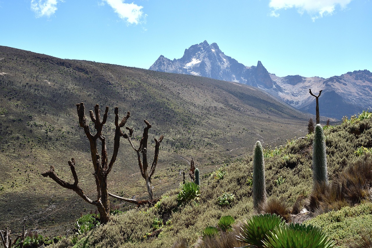 mount_kenya
