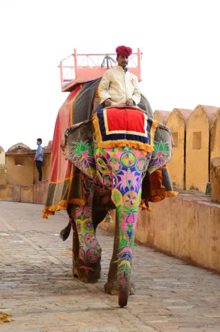 man_on_elephant