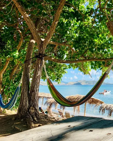 swing_in_between-trees