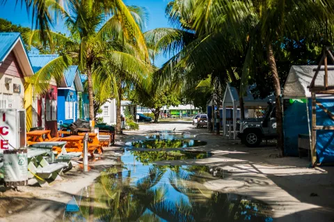 street_lined_with_palm_trees